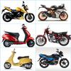 Indian Bikes Quiz आइकन