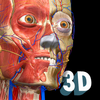 Anatomy Learning - 3D Anatomy Atlas आइकन