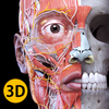 Anatomy 3D Atlas आइकन