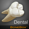 BoneBox™ - Dental Lite आइकन