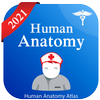 Human Anatomy आइकन
