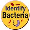 Bacteria Identification Made Easy | Free & Offline आइकन