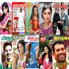 All Malayalam Magazines आइकन