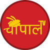 Chopal TV आइकन