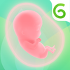 GLOW. Pregnancy & Baby Tracker + Baby Registry App आइकन