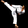 PocketPT - Shotokan Karate आइकन